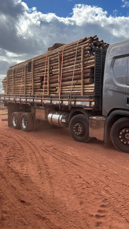 Distribuidora de eucalipto tratado em minas gerais