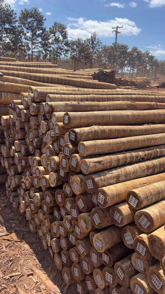 Empresa de madeira em goiás