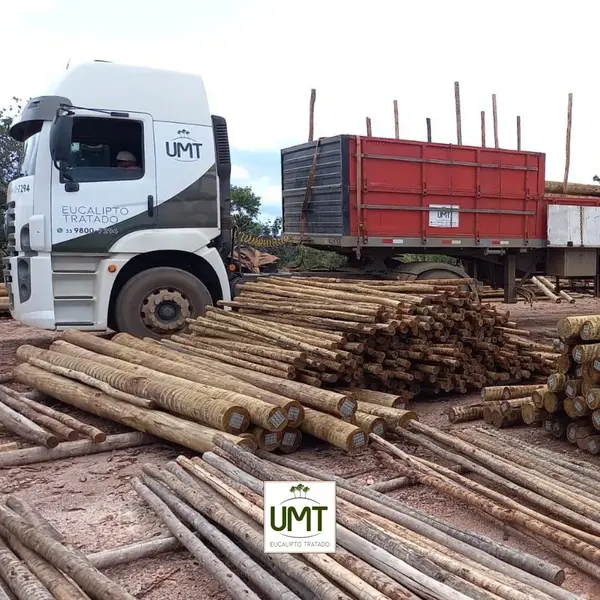 Empresa de madeira em minas gerais