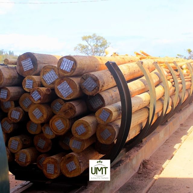 Empresa de madeira em recife