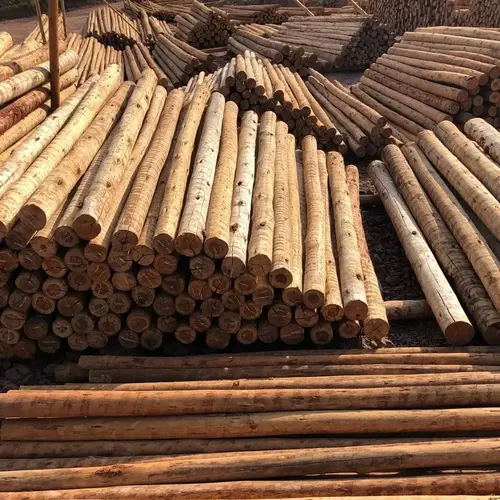 Empresa de madeira em são paulo