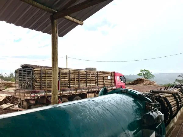 Empresa de madeira em vitória