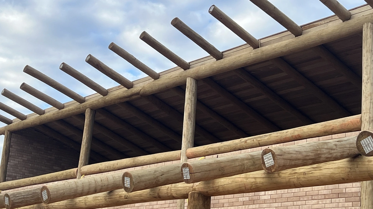 Eucalipto tratado direto da fábrica em betim