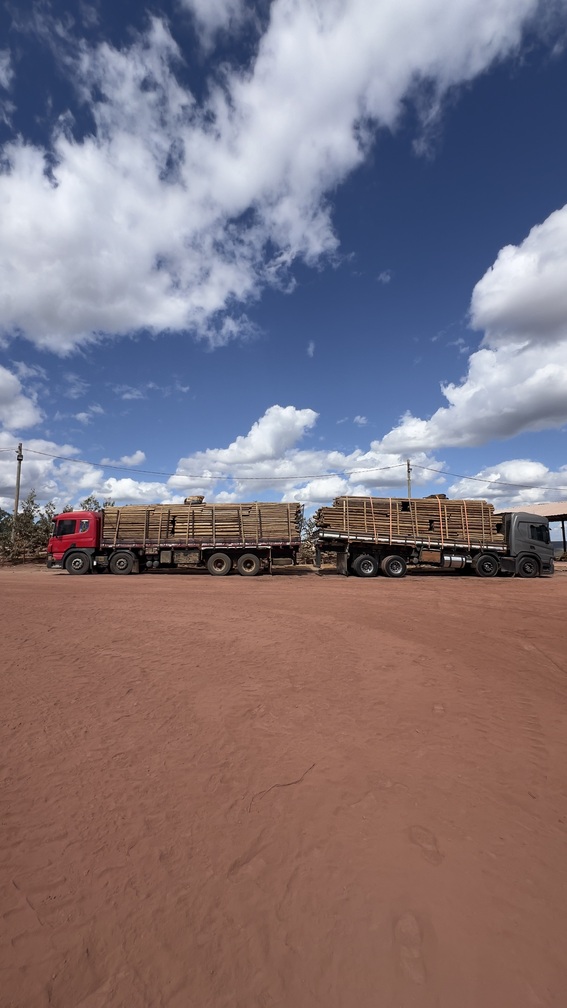 Fábrica de eucalipto tratado em minas gerais