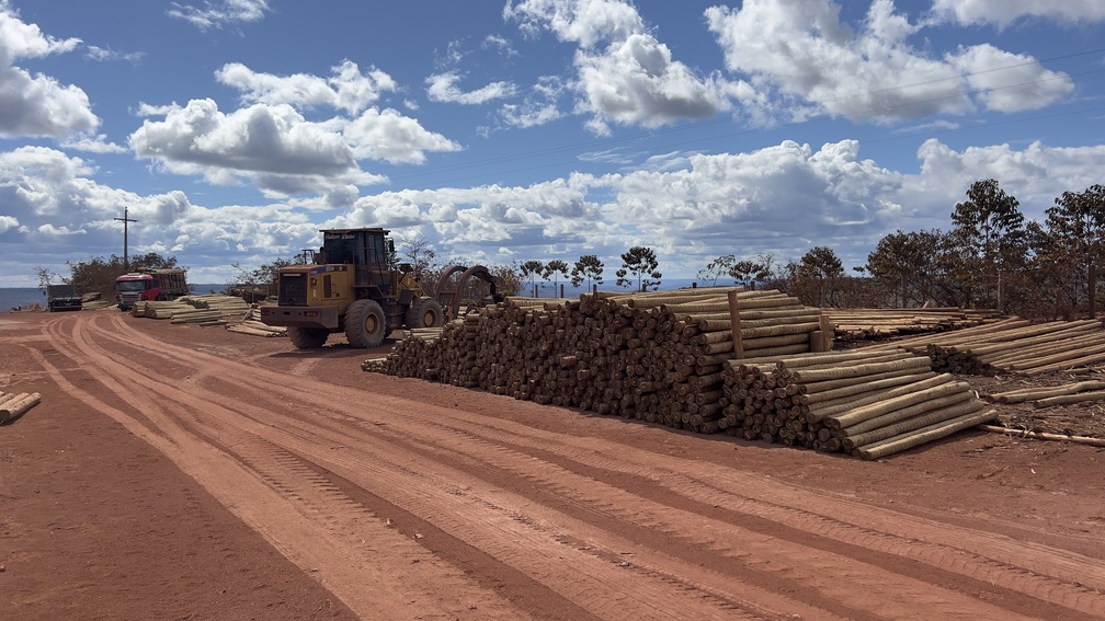 Fornecedores de madeira em belo horizonte