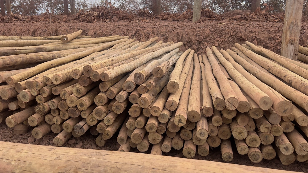 Fornecedores de madeira em fortaleza