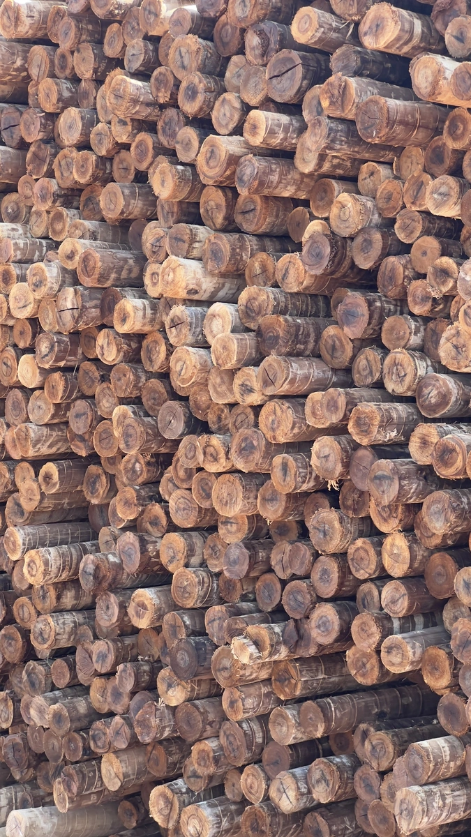 Fornecedores de madeira em goiás