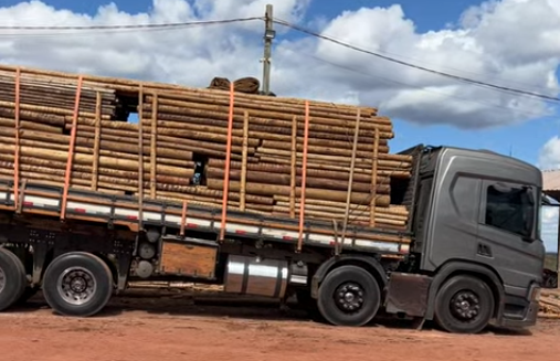 Fornecedores de madeira em maceió