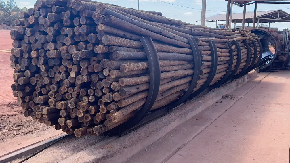 Usina de eucalipto tratado em são paulo